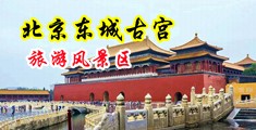 少妇jk喷水中国北京-东城古宫旅游风景区
